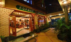 Forest Cottages Bukoto Slashes Accommodation Rates With Special Room Rates