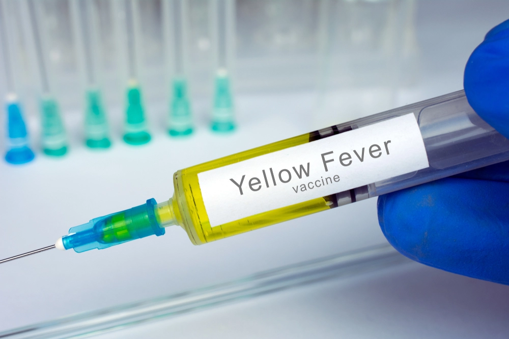 Kenya Declares Yellow Fever Outbreak After Registering Three Deaths