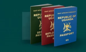 Over 6000 Applicants Affected As Passport Offices Announce Closure