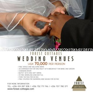 , trust us to handle all the details of your wedding and create the perfect memories