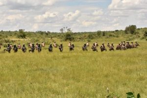 Somali National Army Special Forces Complete Training in Uganda