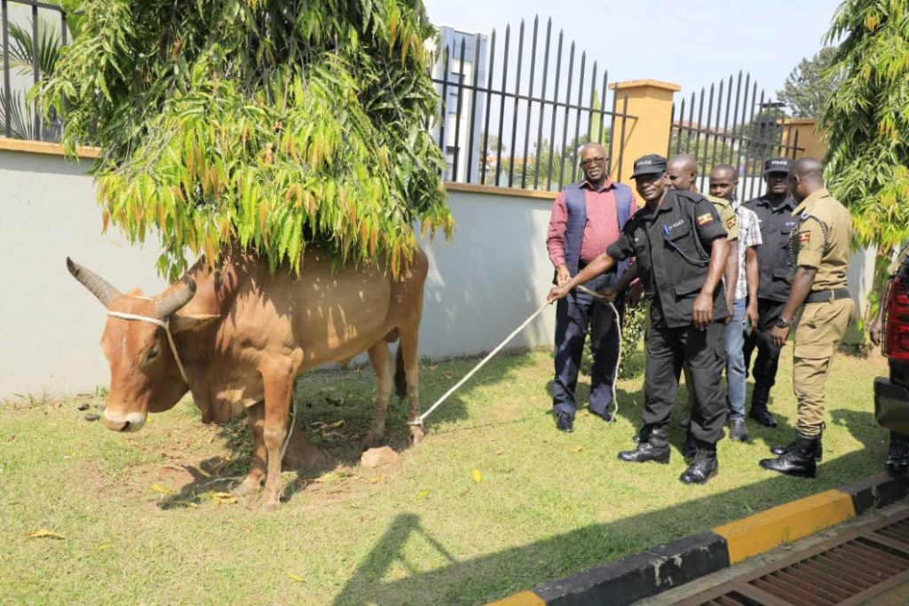 IGP Ochola Donates Bulls To Police Muslim Fraternity Ahead of Eid-al-Adha Celebrations