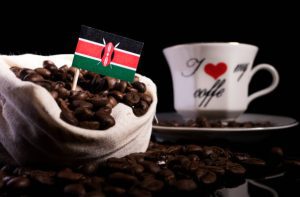 Kenya Signs Trade Deal With European Union To Safeguard Exports