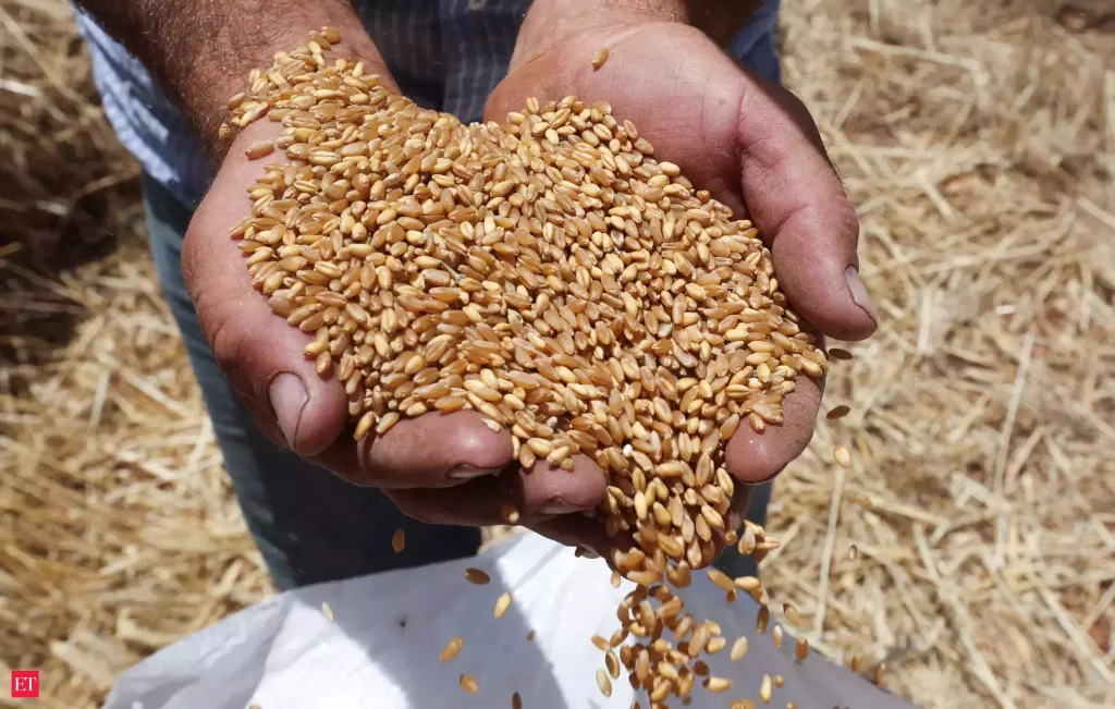 UN Raises Food Security Concerns As Russia Halts Landmark Grain Deal
