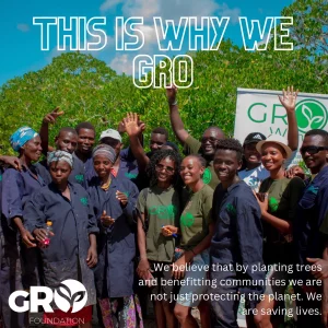 GRO Foundation To Invest Over $100m In Tree Planting In Uganda