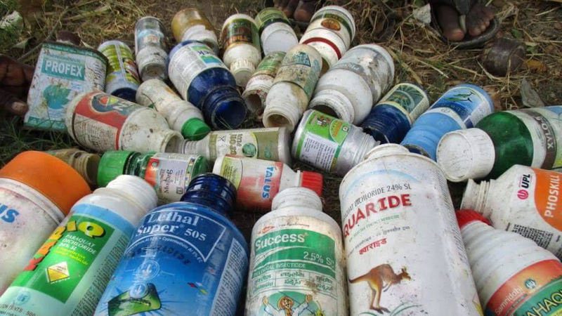 Exposed! Banned Pesticides Cleared For Use In Uganda
